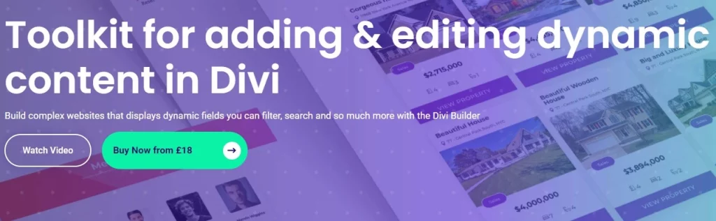 Build complex Divi websites that display dynamic fields by filtering