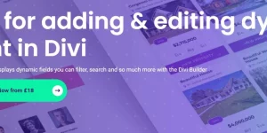 Build complex Divi websites that display dynamic fields by filtering