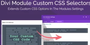 The Divi Module Custom CSS Selectors plugin adds over 500 new selectors to the Divi modules