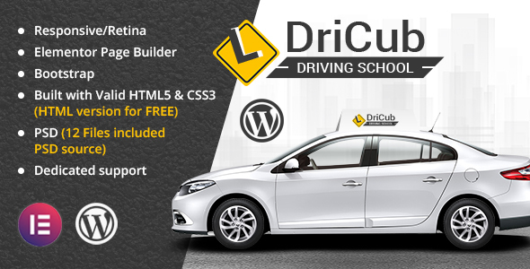 Boost your driving school's site with Dricub - a customizable