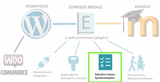 Streamline your course administration by selectively opting for a specific number of users and sync them to update their statuses. The accounts will be linked to Wordpress and the course enrollment status will be updated automatically.