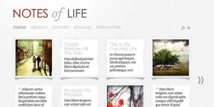 Discover the Elegant Themes DailyNotes WordPress Theme