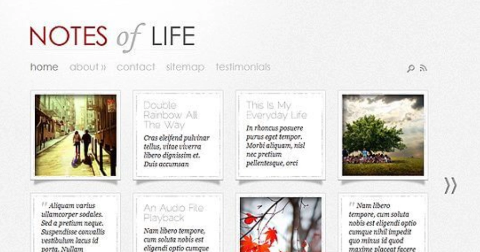 Discover the Elegant Themes DailyNotes WordPress Theme