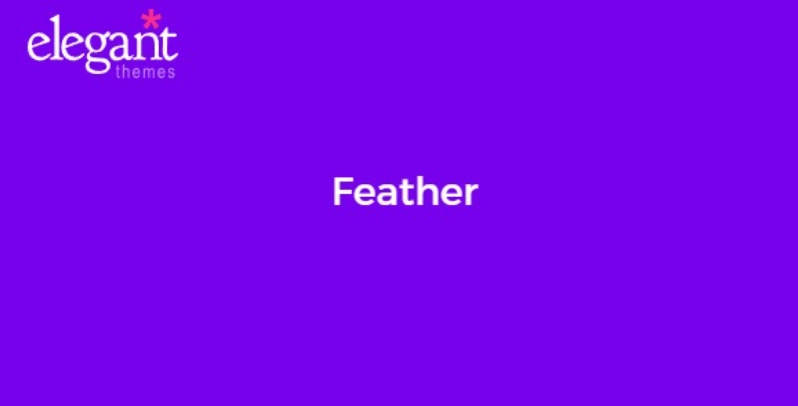 Discover Elegant Themes Feather