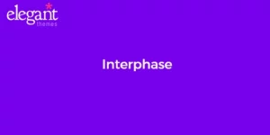 Discover Elegant Themes Interphase