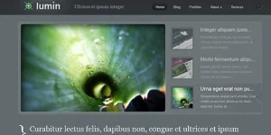 Discover Elegant Themes Lumin