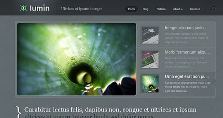 Discover Elegant Themes Lumin