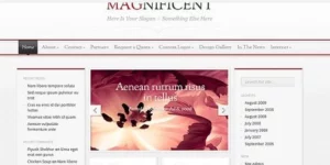 Discover the Elegant Themes Magnificent WordPress Theme