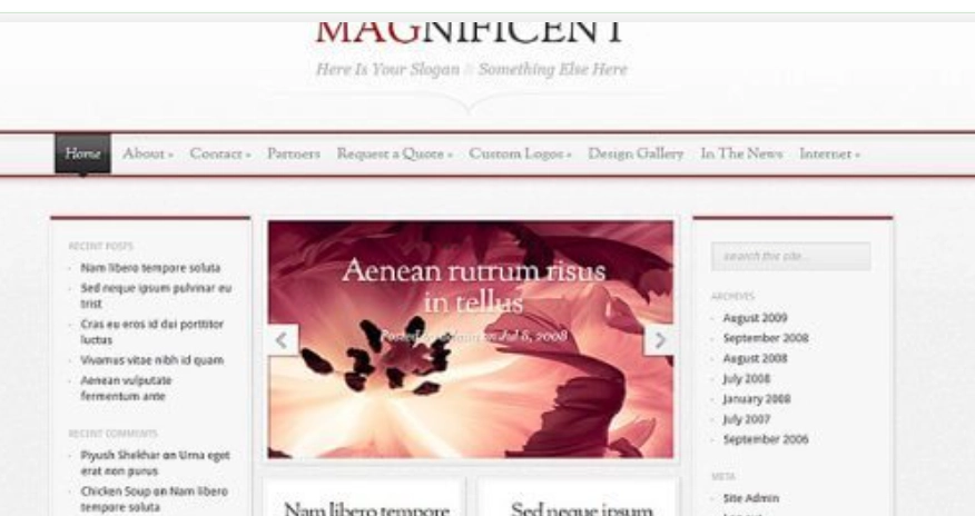 Discover the Elegant Themes Magnificent WordPress Theme