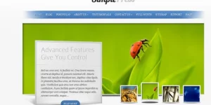 Elevate your website with Elegant Themes SimplePress