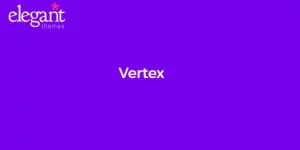 Discover Elegant Themes Vertex