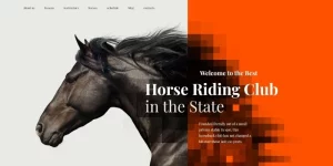 Horse Racing WordPress Theme is a top notch development for a high-quality equestrian and horse riding club website. It's exclusive design meant to emphasize the specialty of your horse club and make it look reliable for your target audience. The use of fascinating backgrounds