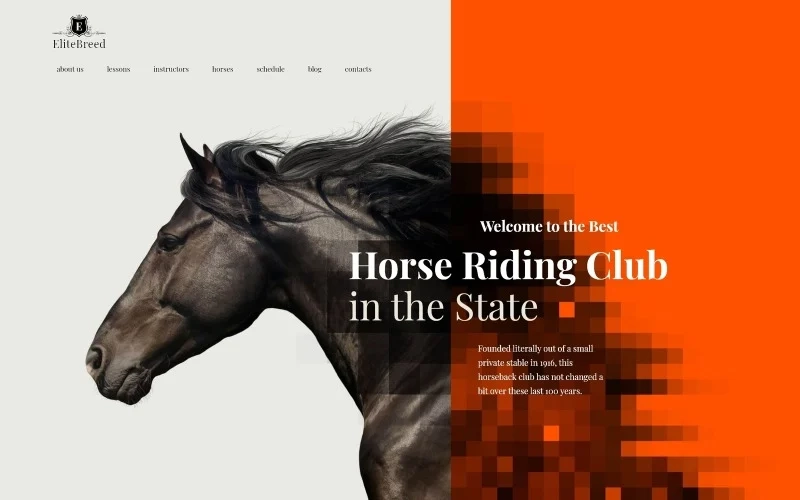 Horse Racing WordPress Theme is a top notch development for a high-quality equestrian and horse riding club website. It's exclusive design meant to emphasize the specialty of your horse club and make it look reliable for your target audience. The use of fascinating backgrounds