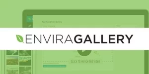 The albums addon for Envira gives your galleries a place to call home. You can create WordPress albums