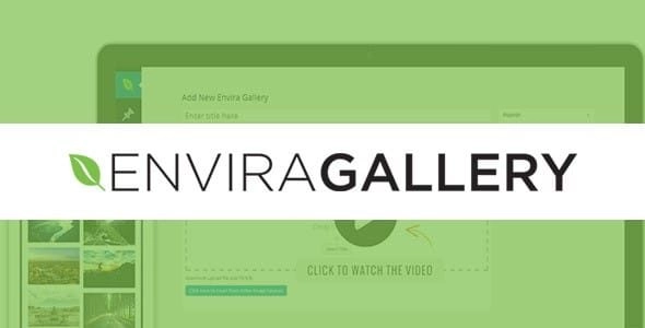 The Pagination addon allows you to paginate gallery images across multiple pages - ideal for larger galleries.