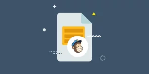 Mailchimp addon for Everest Forms allows you to connect your MailChimp account with your form. Users filling up everest form can be directly added to your subscriber list in mailchimp.