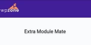 Extra Module Mate is an ultra-lightweight yet powerful plugin that injects the power of the Divi Builder into the Extra Category Builder. Extra Module Mate brings 30 + Divi Builder modules to the Extra Category Builder