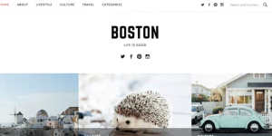 Discover the FameThemes Boston Pro WordPress Theme