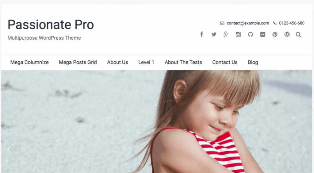 Discover the FameThemes Passionate Pro WordPress Theme