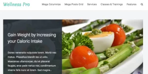 Discover the FameThemes Wellness Pro WordPress Theme