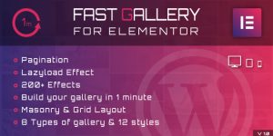 Welcome to Fast Gallery for Elementor. With this awesome plugin