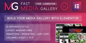 Welcome to  Fast Media Gallery for Elementor . With this awesome plugin