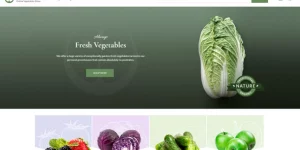 Frutta Verde is a premium WooCommerce shop theme perfect for food stores