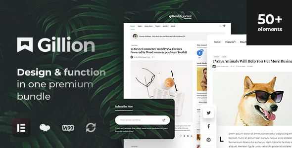 Transform your WordPress site with Gillion's flexible designs and SEO optimized features. Perfect for bloggers and magazines. Discover more at Bevaultx.