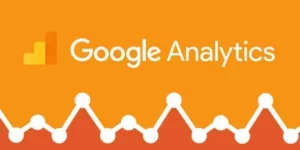 Get the advanced power of Google Analytics on your website with this add-on. Give Google Analytics Donation Tracking add-on provide various reports like traffic sources