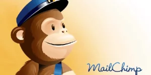 MailChimp needs no introduction. It is one of the finest email marketing service which is used by plenty of firms to grow their subscriber base and to increase their sales. This add-on allows you to add the donors to a specific list of subscribers which can be used to deliver…