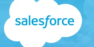 GiveWP Salesforce add-on automatically syncs your new donors