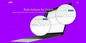 Bulk Actions for Gravity Forms offers users 1 click selection options to select all