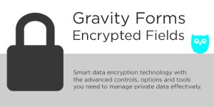 Advanced security with the flexible features you need. The #1 encryption and data access control plugin for Gravity Forms. Don’t settle for anything less when it comes to your data security. Works with all payment gateways! PLUGIN FEATURES - AES-256 bank/military grade database storage encryption - Selectable encryption types including…