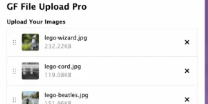 Need more file upload functionality? File Upload Pro is a swiss army knife of features.