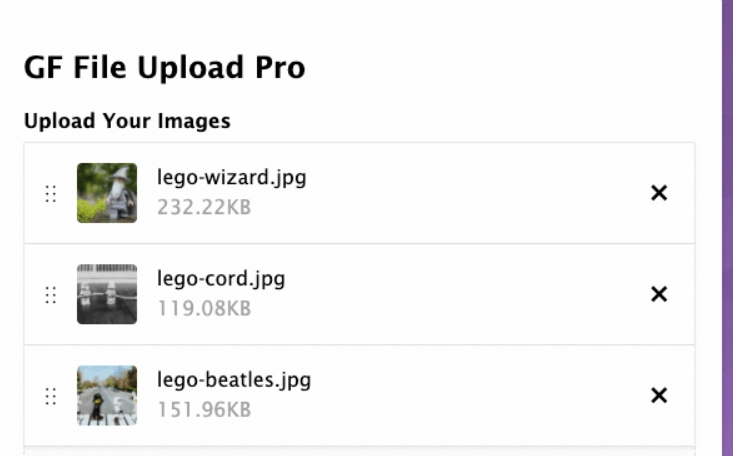 Need more file upload functionality? File Upload Pro is a swiss army knife of features.