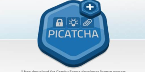 Unlock enhanced security with the Gravity Forms Picatcha Add-On! This powerful tool adds a unique image-based CAPTCHA to your forms