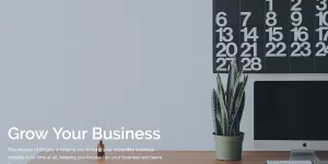 A beautiful business theme for agency