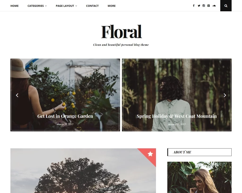 Floral is a beautiful WordPress blog theme for personal blogs. Floral has a modern