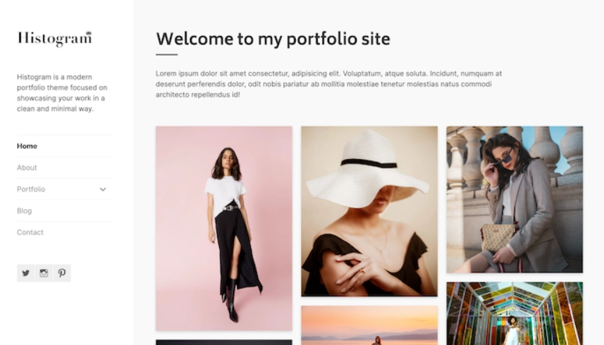 Histogram is a modern portfolio theme focused on showcasing your work in a clean and minimal way. The Histogram theme is excellent for promoting a graphical resume along with a blog feature to highlight details . The theme is fast