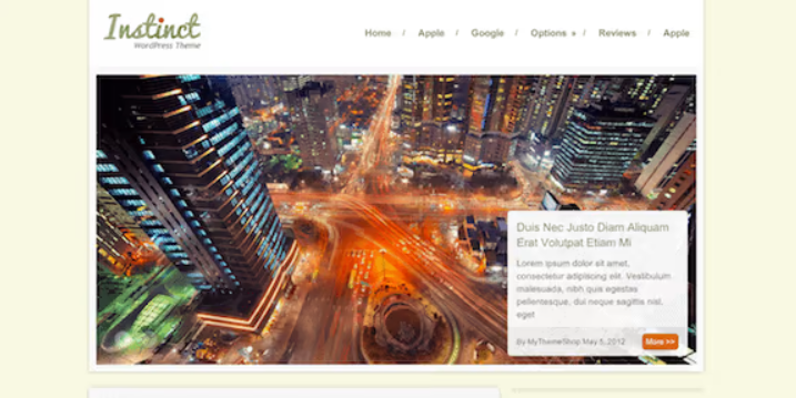 Discover the INSTINCT ELEGANT BLOG WORDPRESS THEME