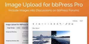 With the Image Upload for bbPress Pro WordPress plugin activated