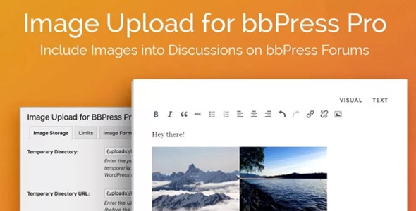 With the Image Upload for bbPress Pro WordPress plugin activated