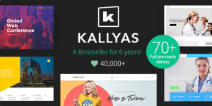 KALLYAS - The #1 Selling Most Enjoyable and Creative Multipurpose WordPress theme