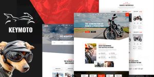 Are you into motorcycles and want to rev up your website with a stunning