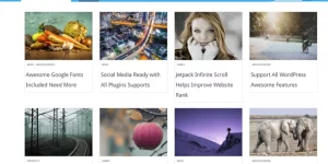 Level is professional theme for news or magazine style it’s a complete multipurpose theme because you may Sale Products