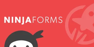 Replace the Standard LifterLMS “Mark Complete” Button with a Ninja Form Submission Instead Require your learners to submit a Ninja Form before they can mark a lesson as complete. Example form submissions might include: Collecting a wide variety of information or uploads from students Advanced forms where you want the…