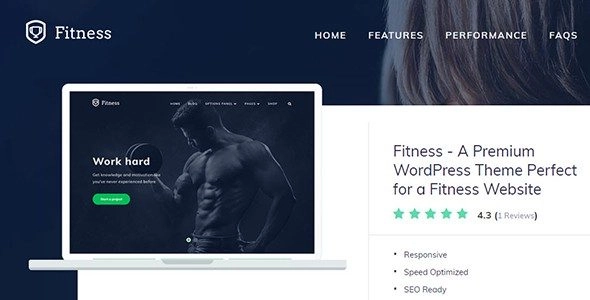 Introducing The Fitness Theme. Finally