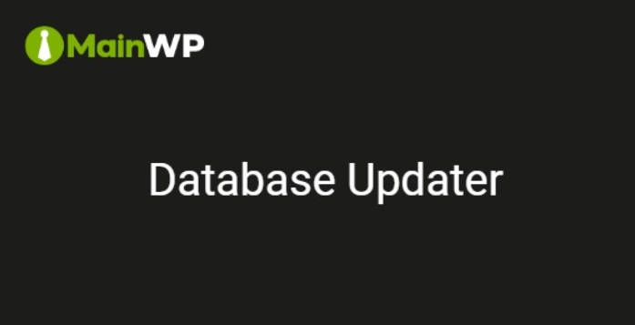 The Database Updater Extension is the ultimate solution for hassle-free updates to WooCommerce