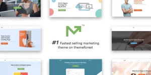 Marketing Pro is an All-purpose Marketing WordPress theme designed specifically for digital/online marketers