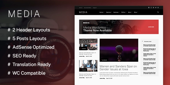 The Media WordPress themes makes it extremely easy for anyone to create a media-centric website and excel at it. It is the only WordPress theme you need if your website is about movies